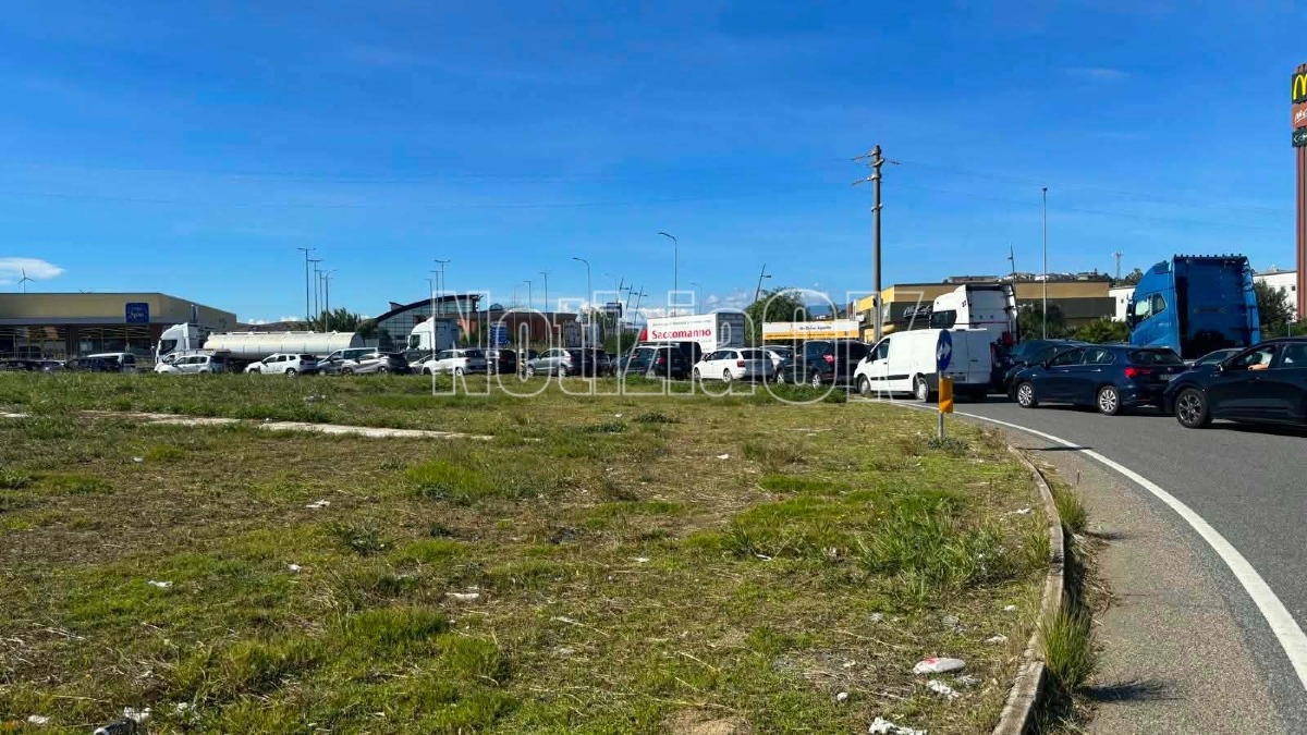 Carburanti, il Pd Calabria attacca il Governo: «Meloni anticipi l’incontro e intervenga subito» - Foto: Redazione