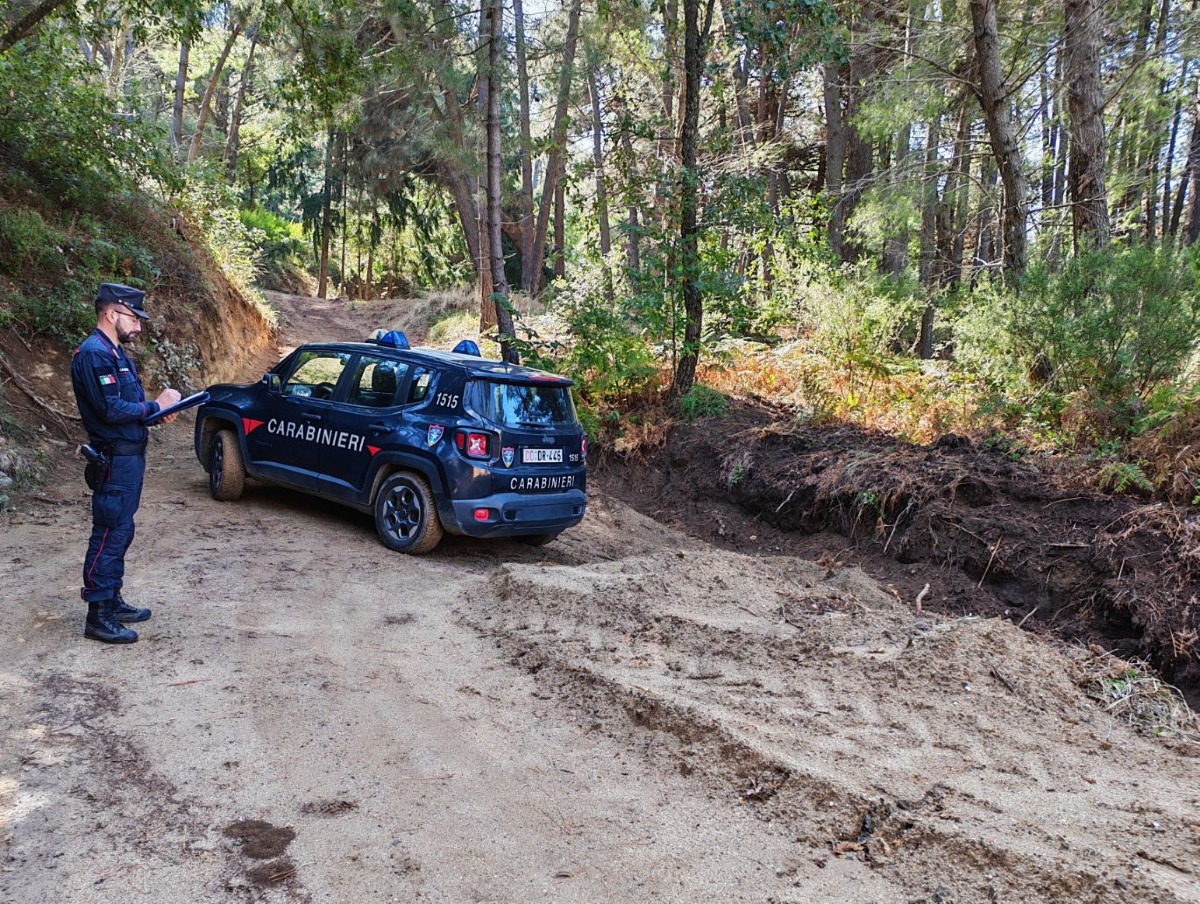 Petrizzi, movimentazione di terreno senza autorizzazioni: sanzione da 600 euro dei Carabinieri Forestali - Foto: Uff. Stampa Comune di Catanzaro