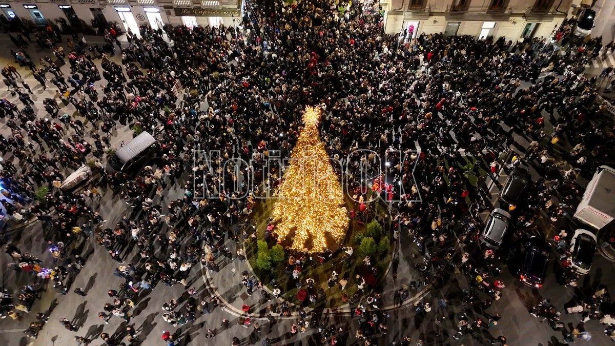 Crotone, in piazza Pitagora un albero di Natale alto almeno 12 metri