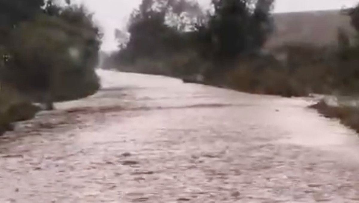 Maltempo nel crotonese, disagi alla viabilità - Foto: Una strada nel comune di Strongoli