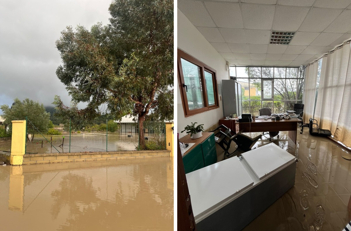 Maltempo, gravi danni al Vivaio Verde Natura (Belvedere di Spinello): «Chiediamo aiuto, non lasciateci soli» - 