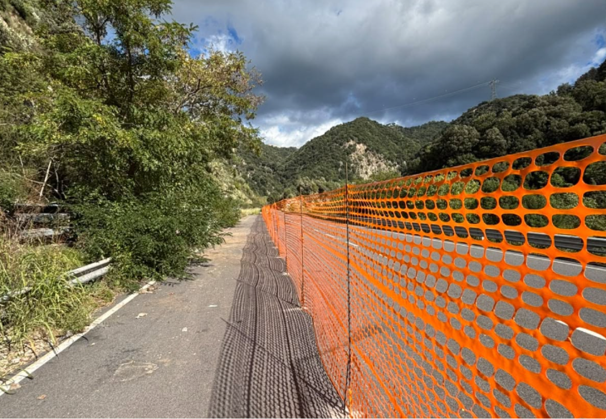 Provincia di Catanzaro: intervento di pulizia lungo la SP 25 tra Catanzaro e Magisano - Foto: Uff. Stampa Provincia di Catanzaro