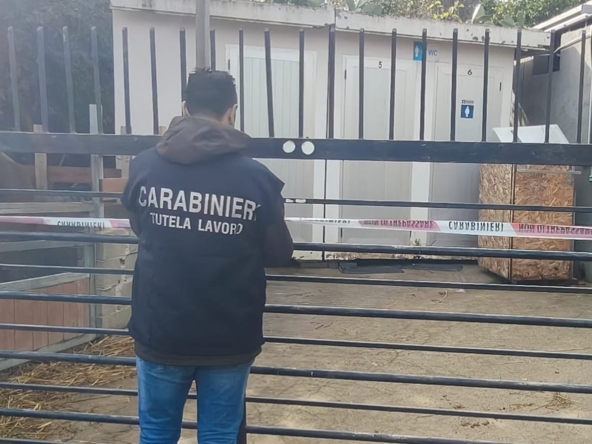 Crotone, sfruttamento di un lavoratore in un maneggio: arresti domiciliari per il titolare - 