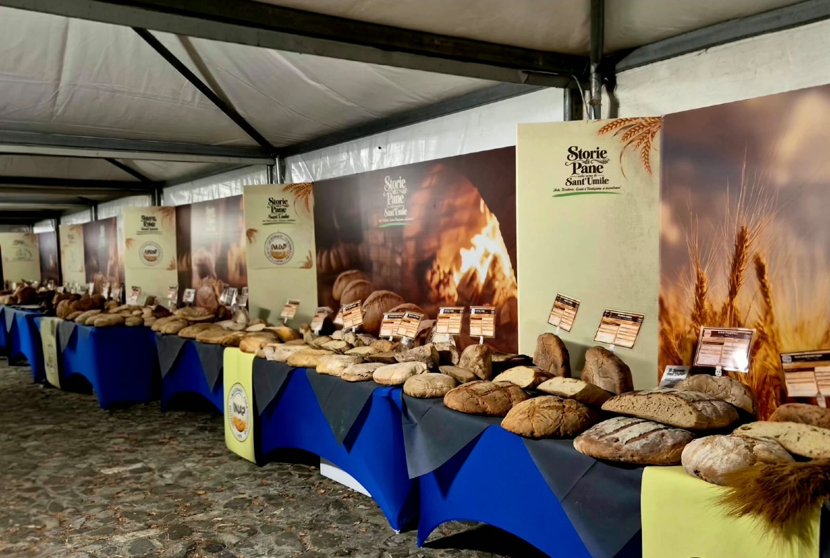 Bisignano, successo per la prima edizione di “Storie di Pane sulle Orme di Sant’Umile” - Foto: Uff. Stampa Comune di Bisignano
