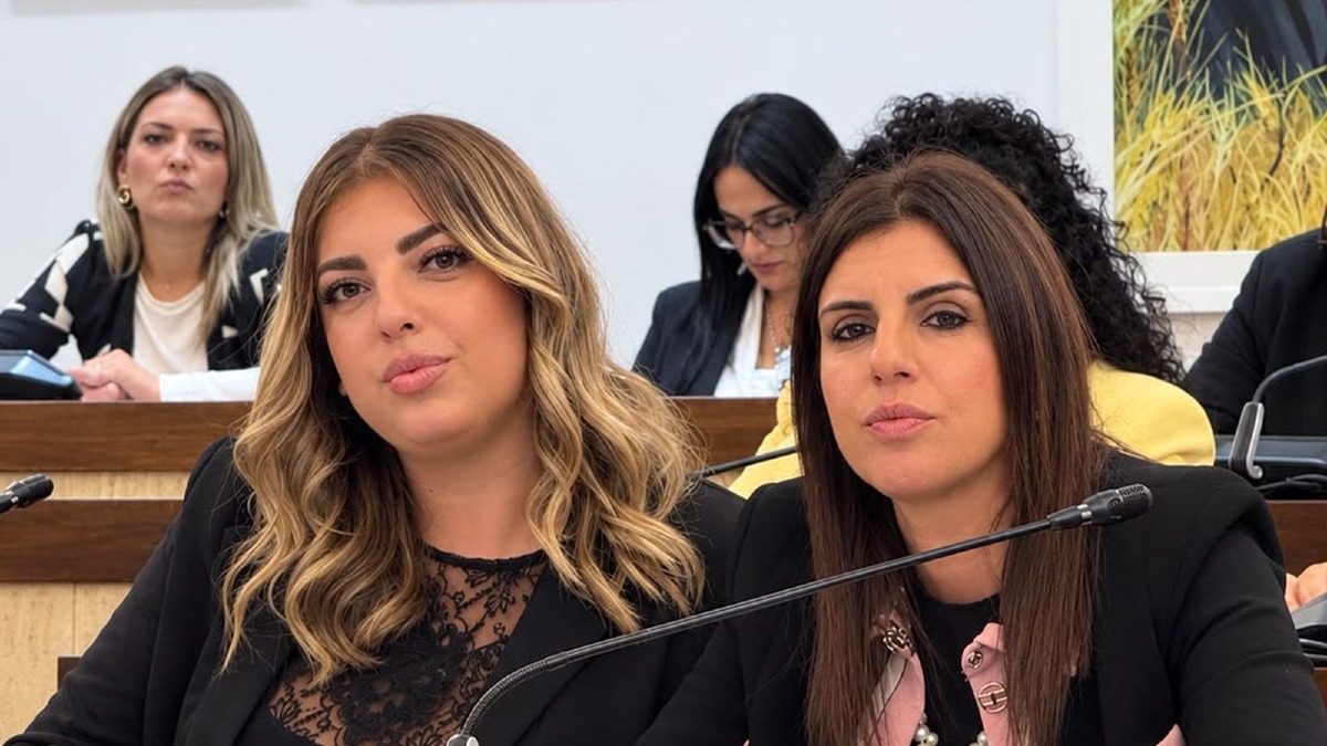 Crotone, Fratelli d’Italia presenta una mozione a sostegno delle Forze dell’Ordine - Foto: Redazione 