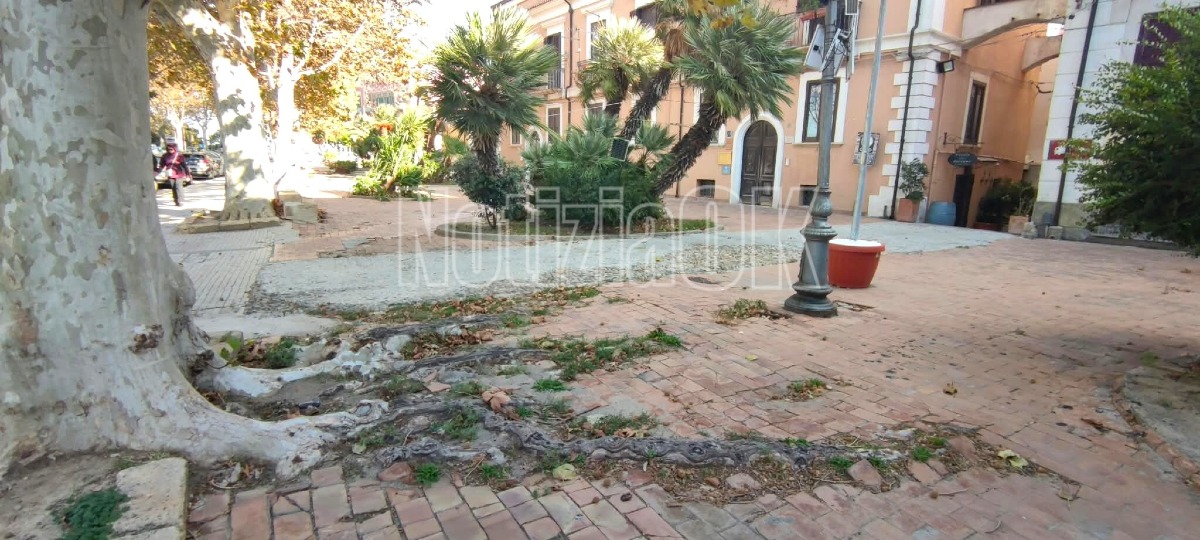 Crotone, degrado in viale Regina Margherita: l’area attende una riqualificazione - Foto: Redazione