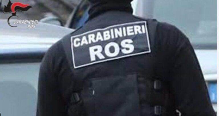 SIM Carabinieri, plauso ai militari per l’operazione antimafia - Foto Uff Stampa Sim 
