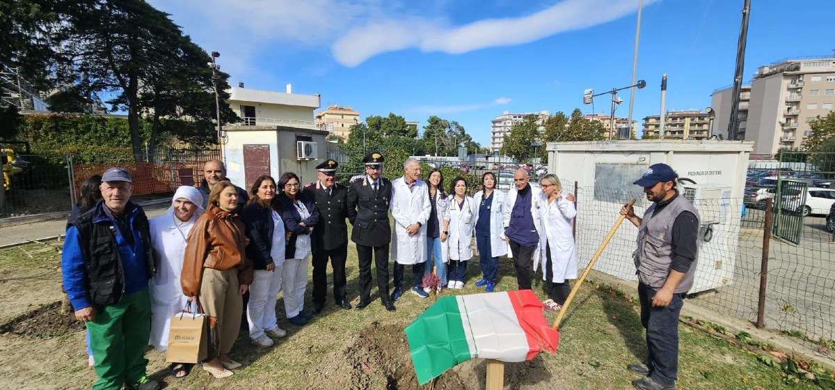 Crotone, al San Giovanni di Dio un albero per la salute: quarta edizione del progetto FADOI - Foto Uff. Stampa Amici Biodiversità Sila Piccola