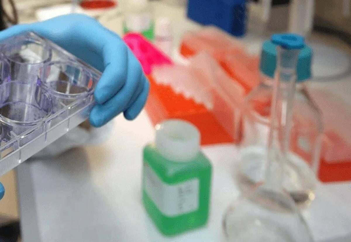 Giornata tumore seno metastatico, in Italia oltre 55mila donne con la malattia﻿ - 