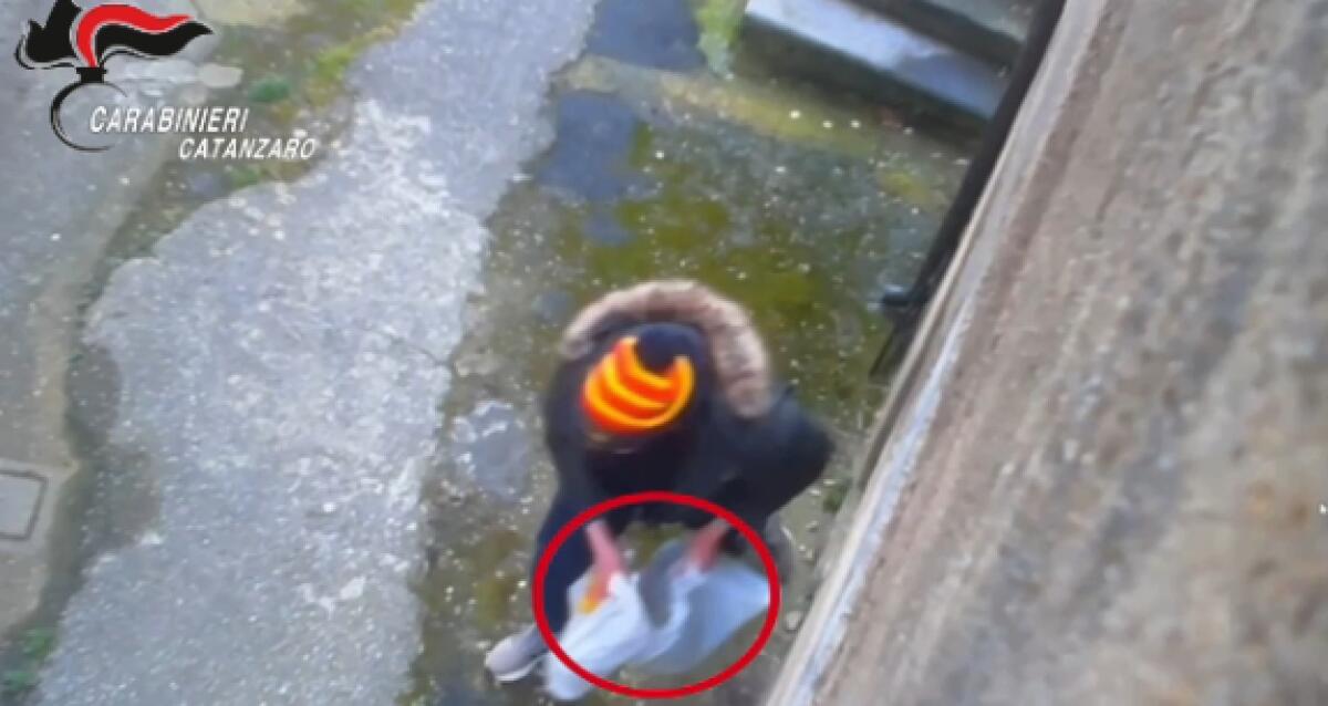 Si compravano la droga con il reddito di cittadinanza, 24 indagati tra Catanzaro e Vicenza / Video - 