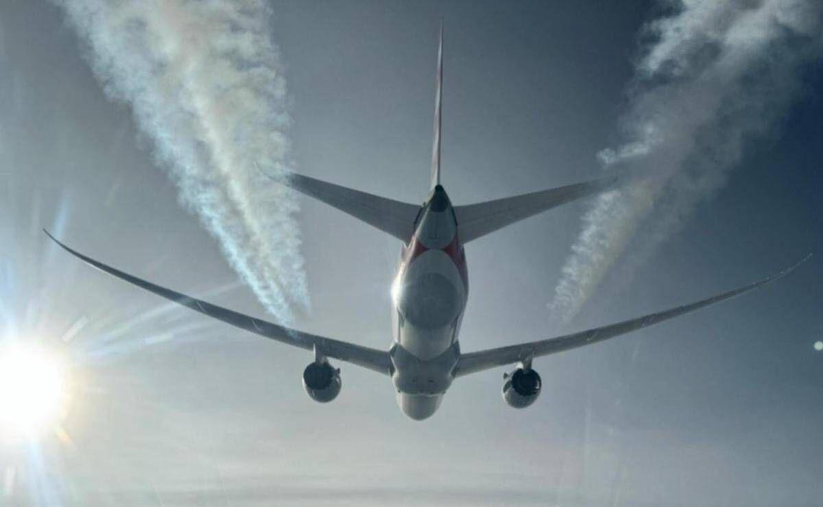 Cimici dei letti a bordo di un aereo proveniente dall'Australia, volo Qantas fermato a Fiumicino: cos'è successo - 