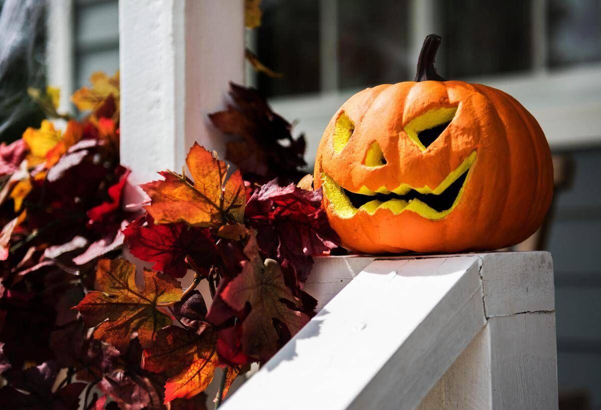 Zucca e semi di zucca: il lato sorprendente (e sano) di Halloween - 