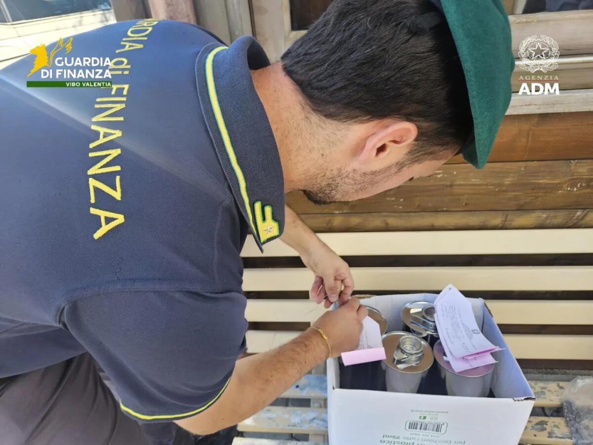Gasolio fuorilegge al distributore, sequestro di 6.400 litri nel Vibonese - 