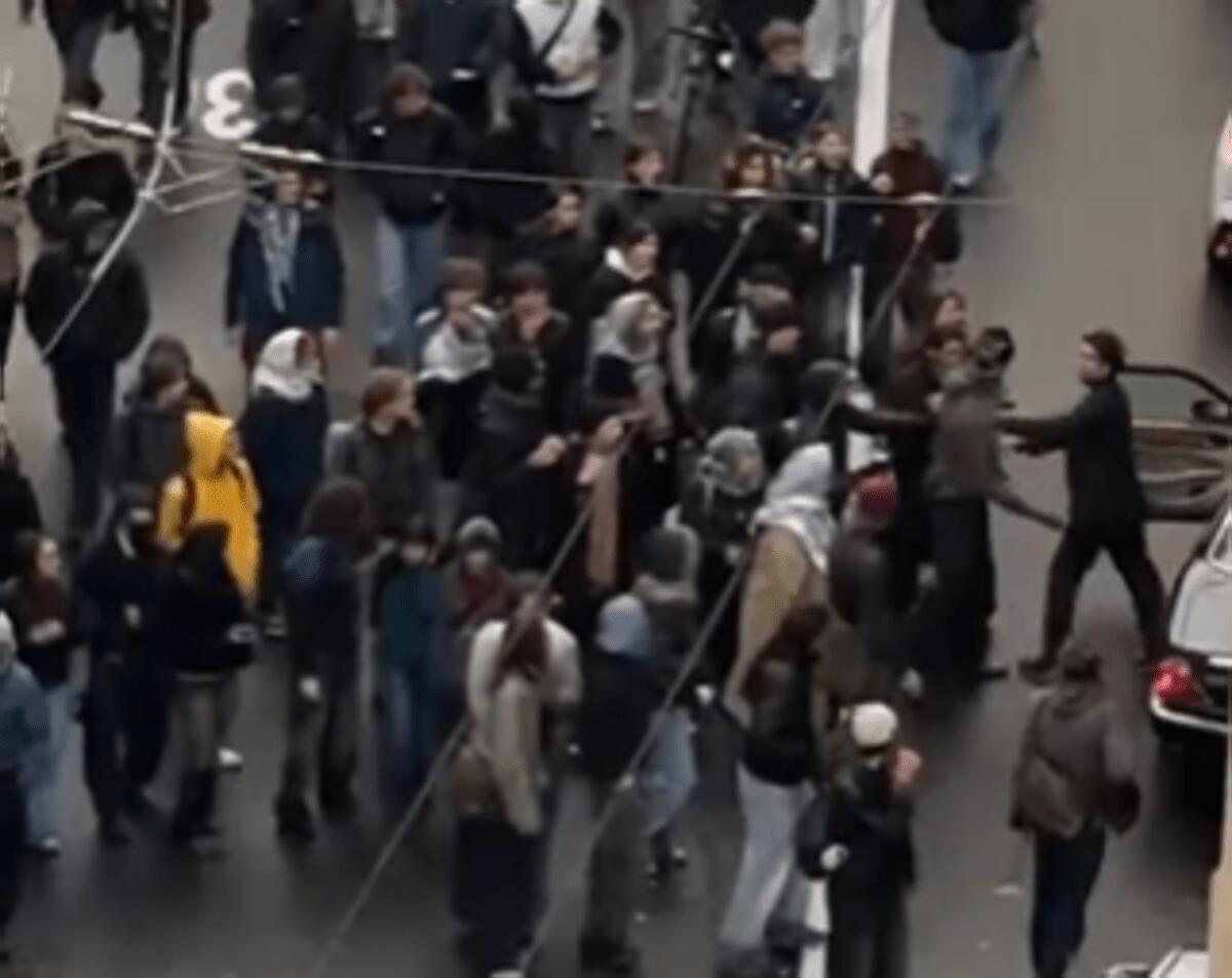 Tensione a Losanna con un automobilista durante la manifestazione dei giovani contro il capitalismo - Video - 