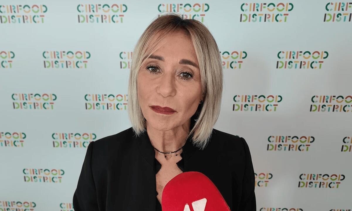 Nasi (Cirfood): "Gare d'appalto nella ristorazione collettiva devono essere economicamente sostenibili" - 