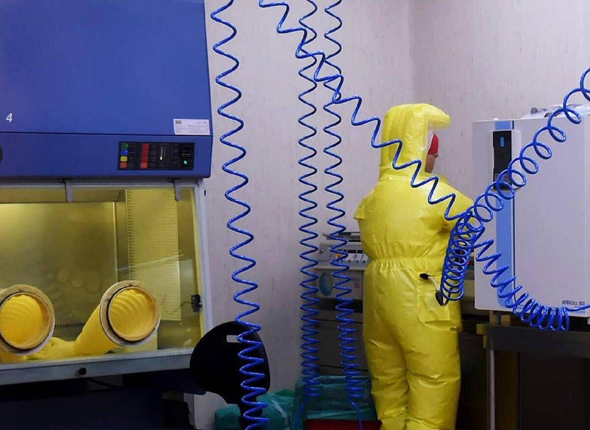 Shamonda virus, primo caso umano: cosa sappiamo, tutti i rischi - 