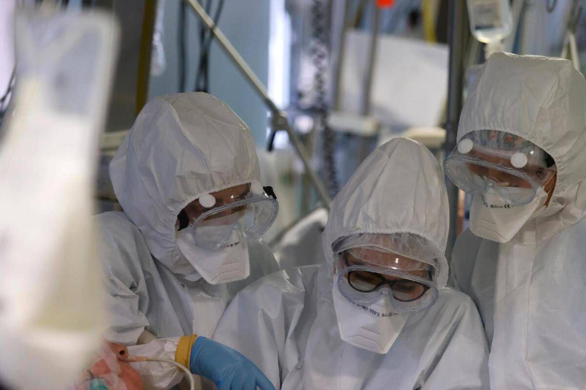 Virus Shamonda, "no casi umani in Italia, attenzione rafforzata": la circolare del ministero dell a Salute - 