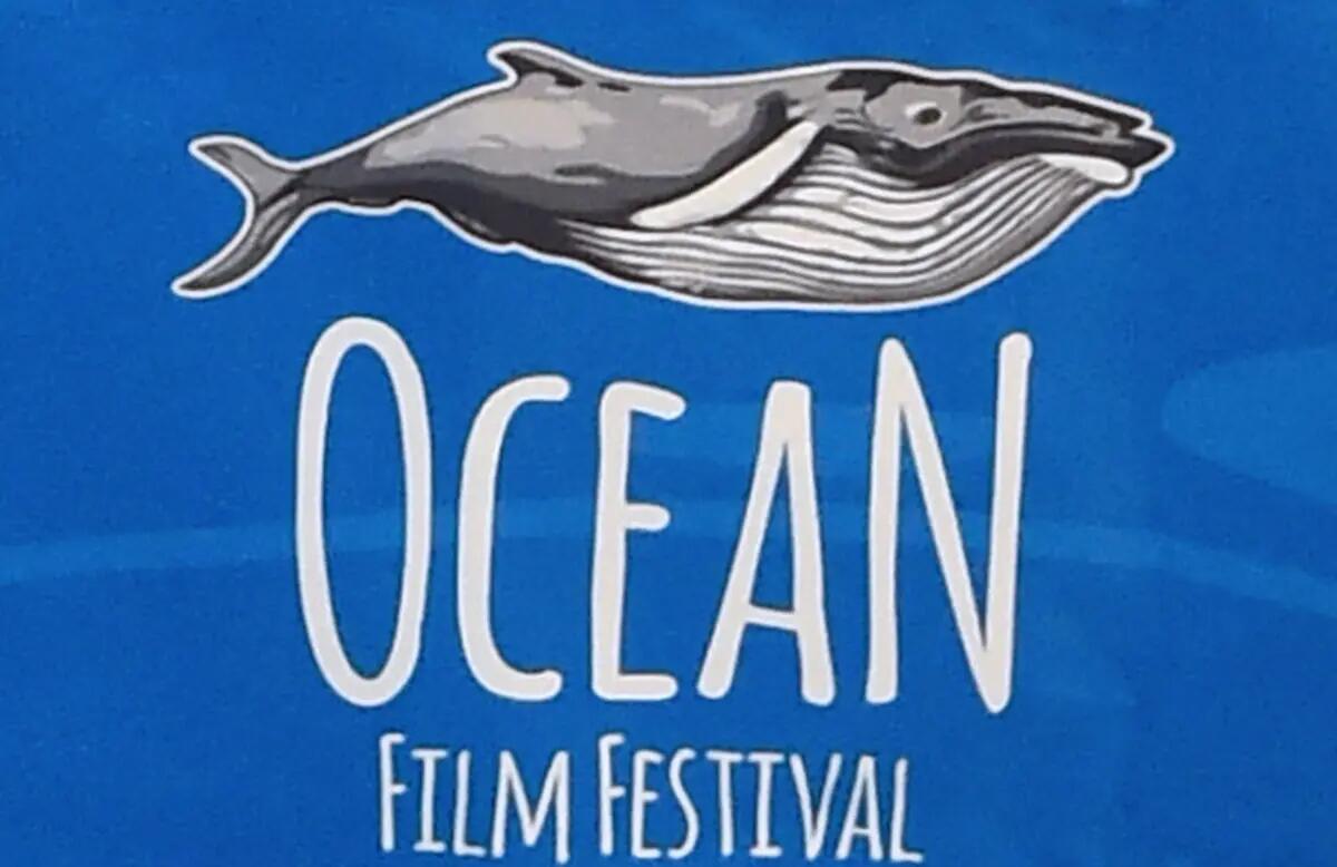 L’Ocean Film Festival World Tour arriva per la prima volta in Calabria - 