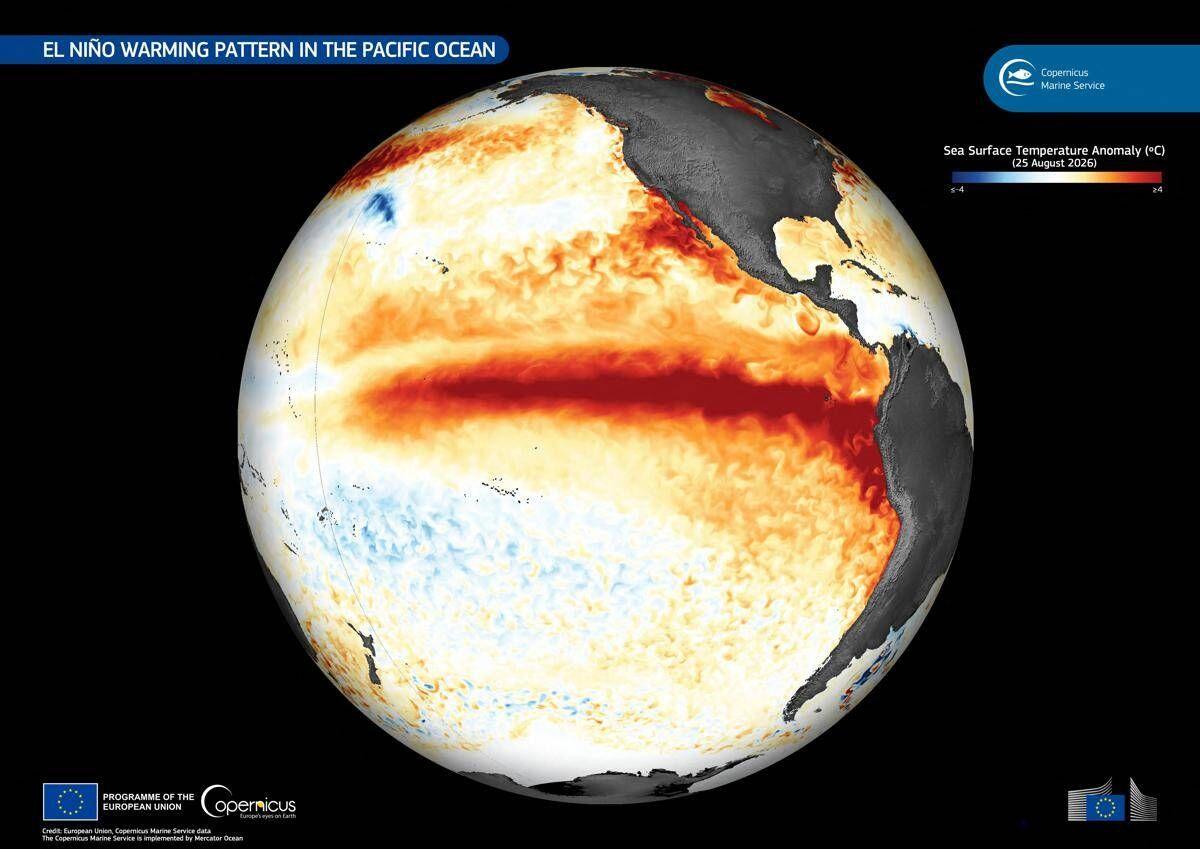 El Niño verso un picco record a dicembre, allarme Onu: "Intensità senza precedenti" - 