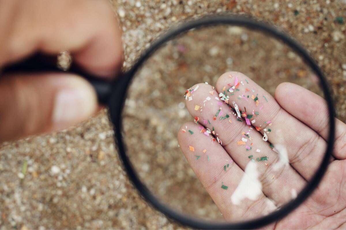 Microplastiche e salute della donna, Fondazione Sigo avvia percorso informativo - 