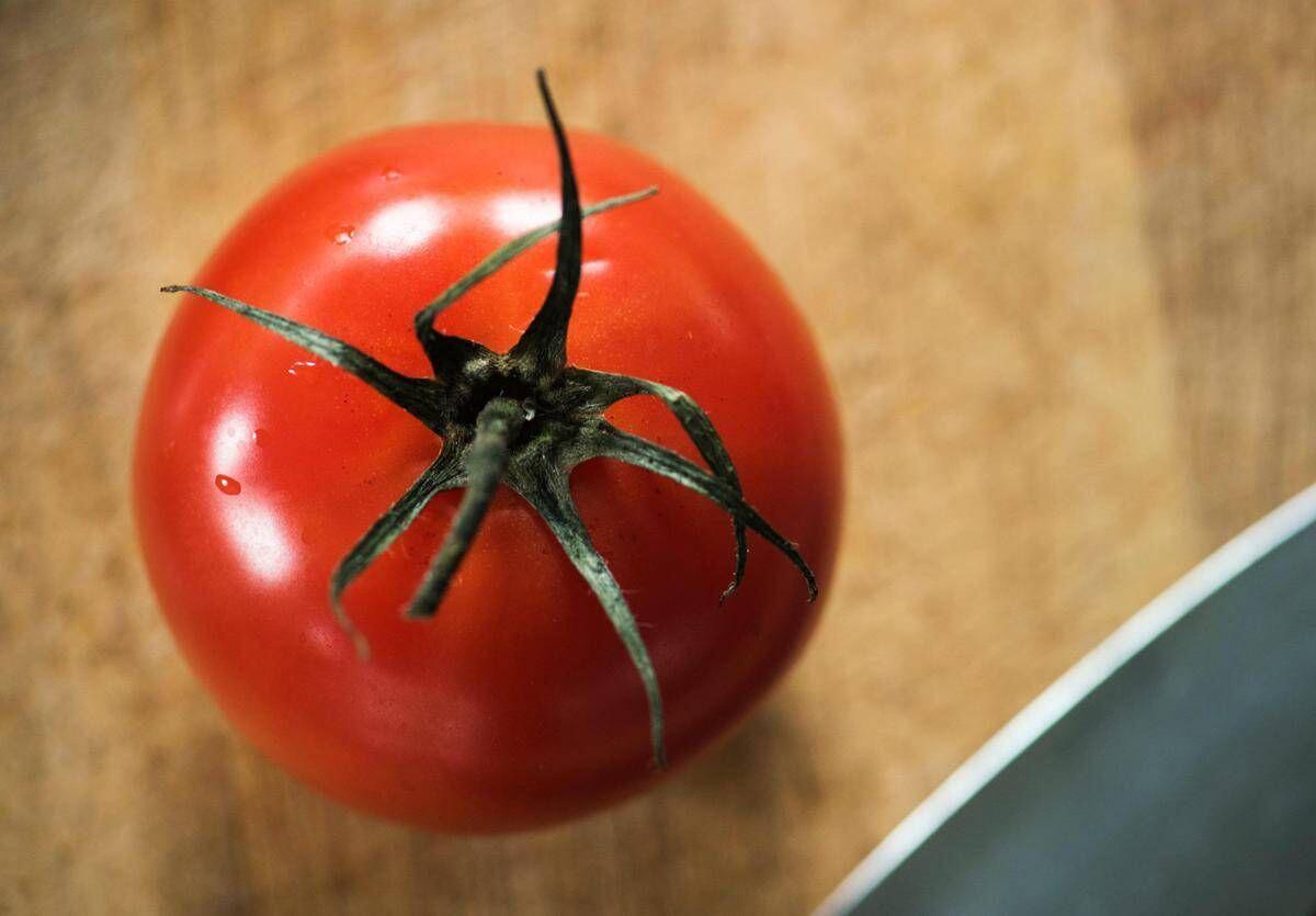 Rischio salmonella a Bari, Asl vieta pomodori freschi in mense nidi, scuole e Rsa - 