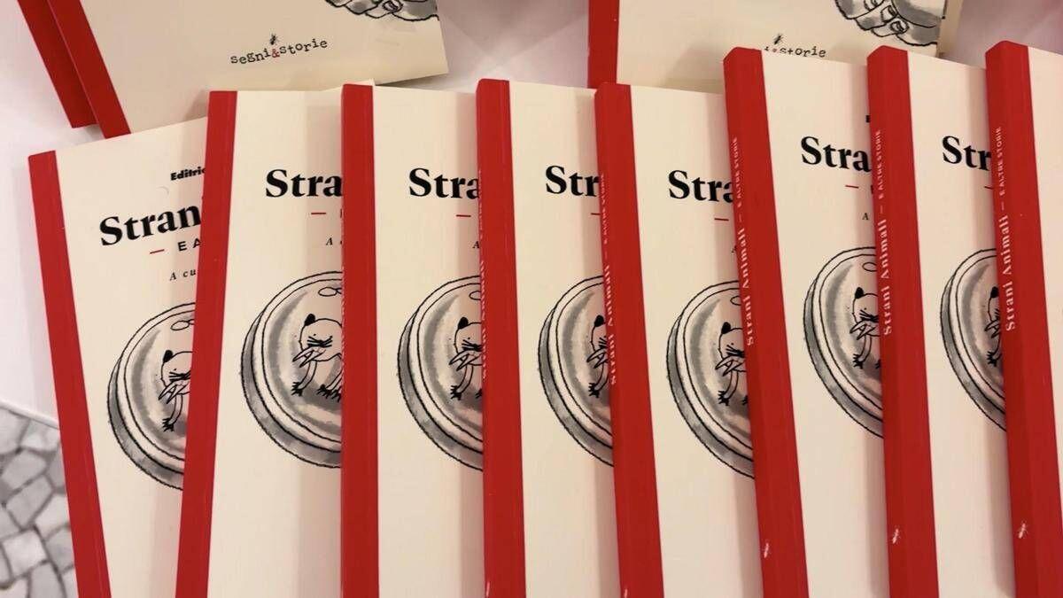 Ceccarelli (Coop): "Onorati di supportare progetto editoriale di beneficenza" - 
