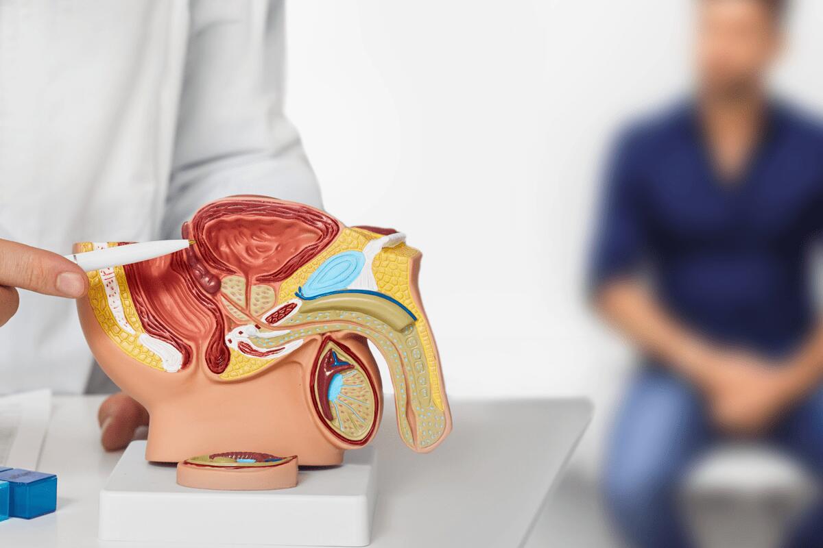 Tumore prostata ad alto rischio recidiva, nuova terapia riduce del 58% rischio morte o metastasi - 