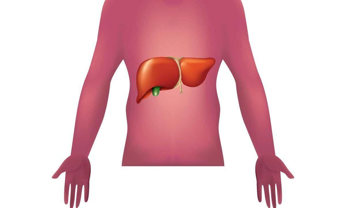 Malattie autoimmuni del fegato, nuova strategia con nanovettori in studio italiano - 