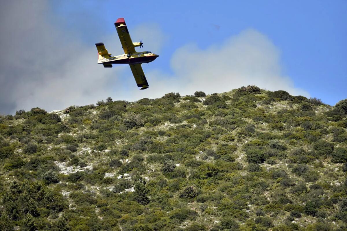 Nel 2026 in Calabria incendi in calo del 14% - 