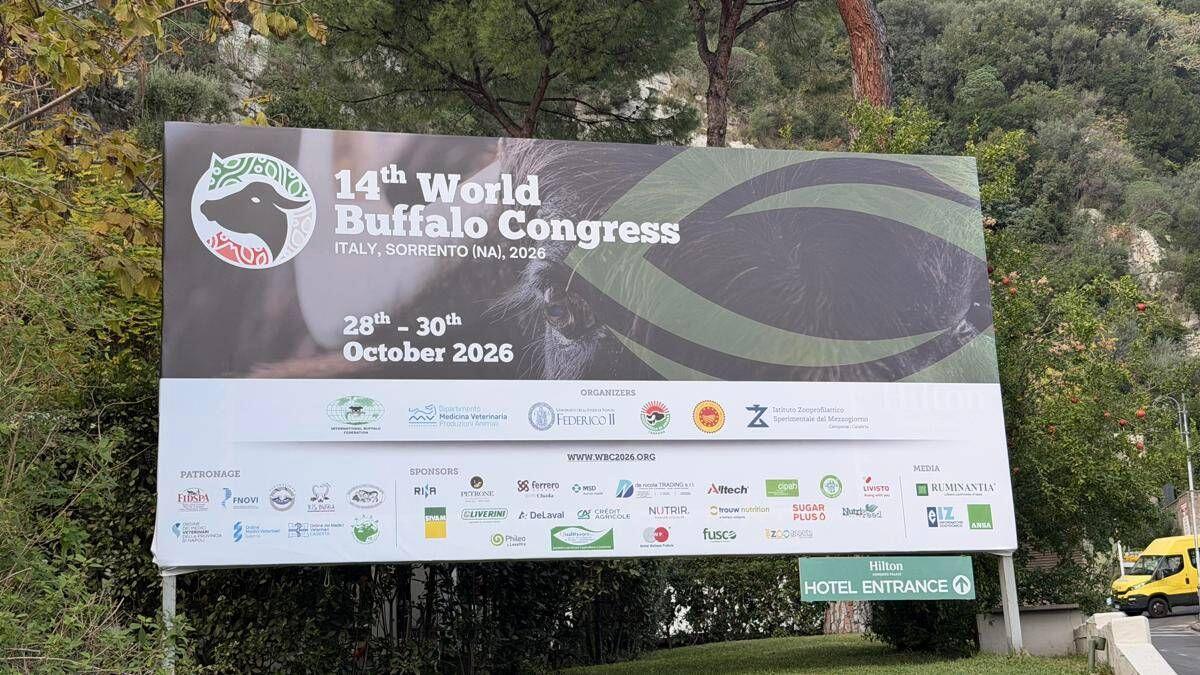 'World Buffalo Congress' road map per futuro con meno burocrazia e più innovazione - 