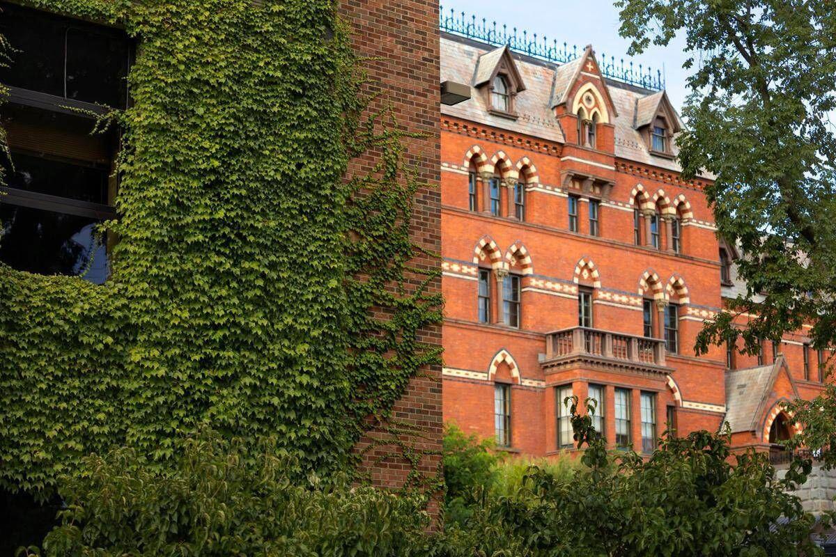 Stupro di gruppo alla Cornell University: aperta indagine penale - 