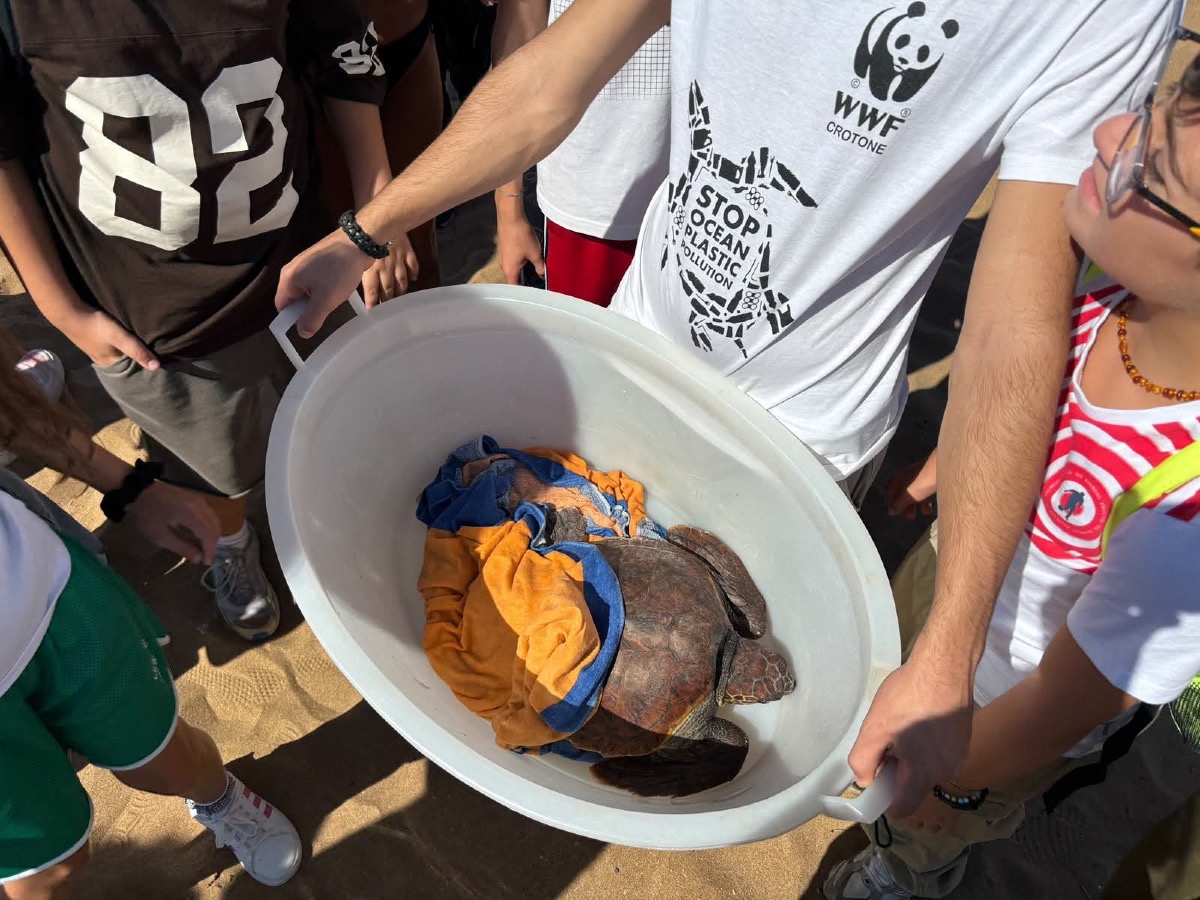 Salvataggio Tartaruga Le Castella - Foto Uff Stampa wwf Crotone 
