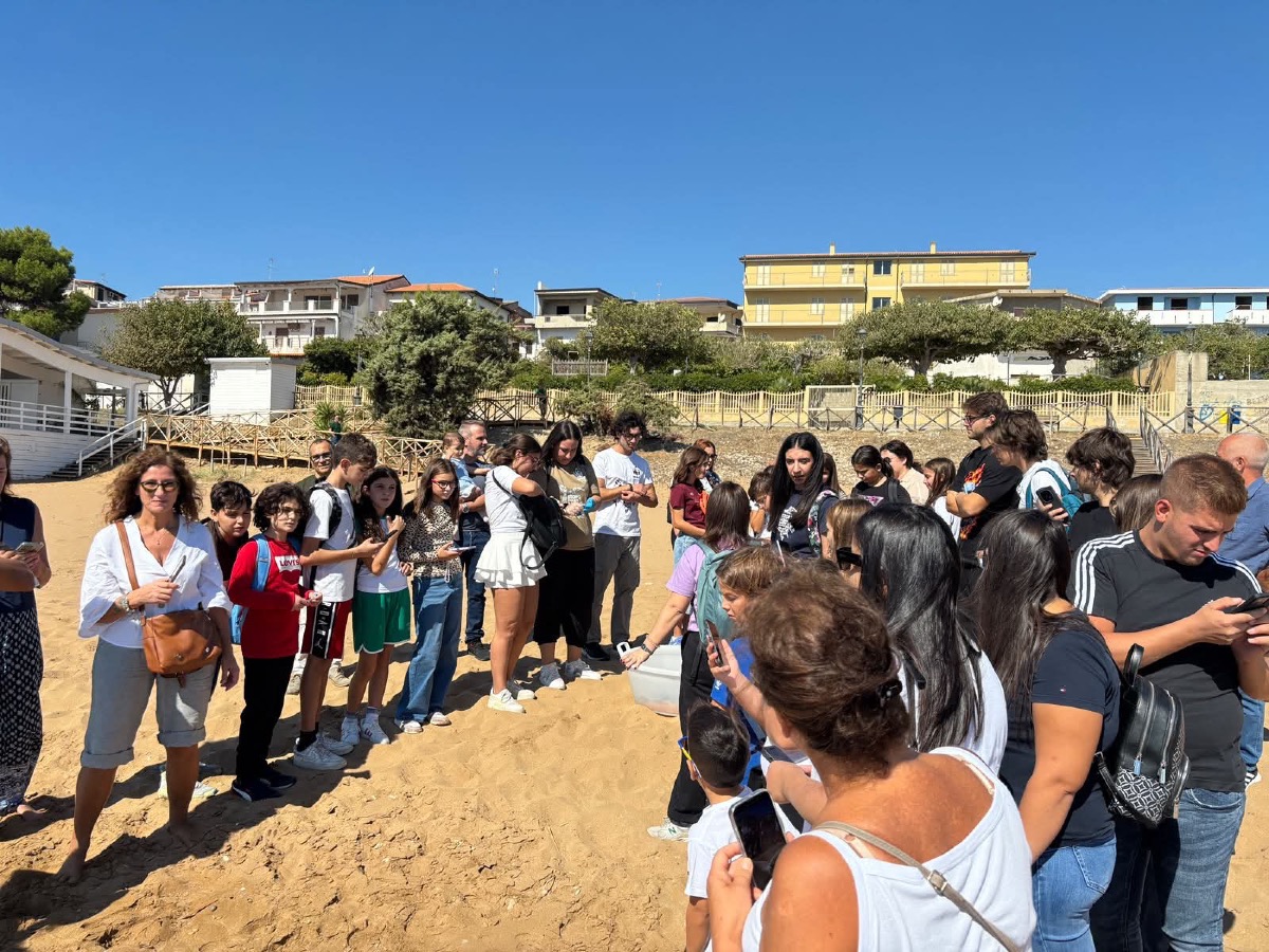 Salvataggio Tartaruga Le Castella - Foto Uff Stampa wwf Crotone 