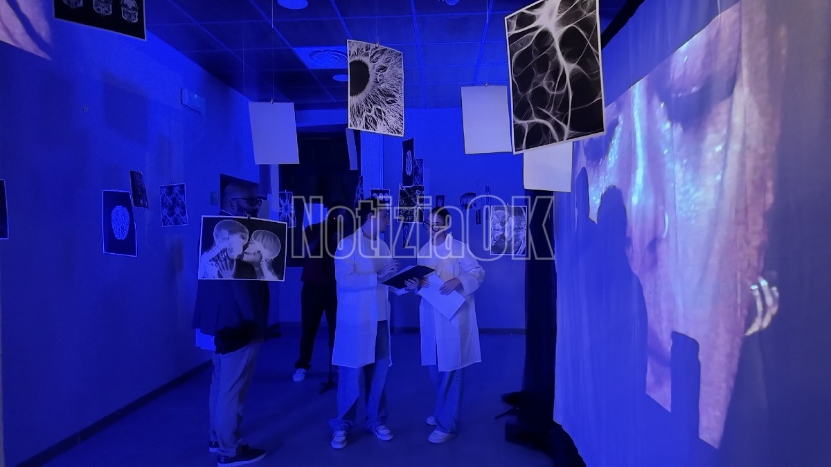 Synapse De Creation Crew - Teatro V. Scaramuzza Crotone (Redazione 7.10.2026)
