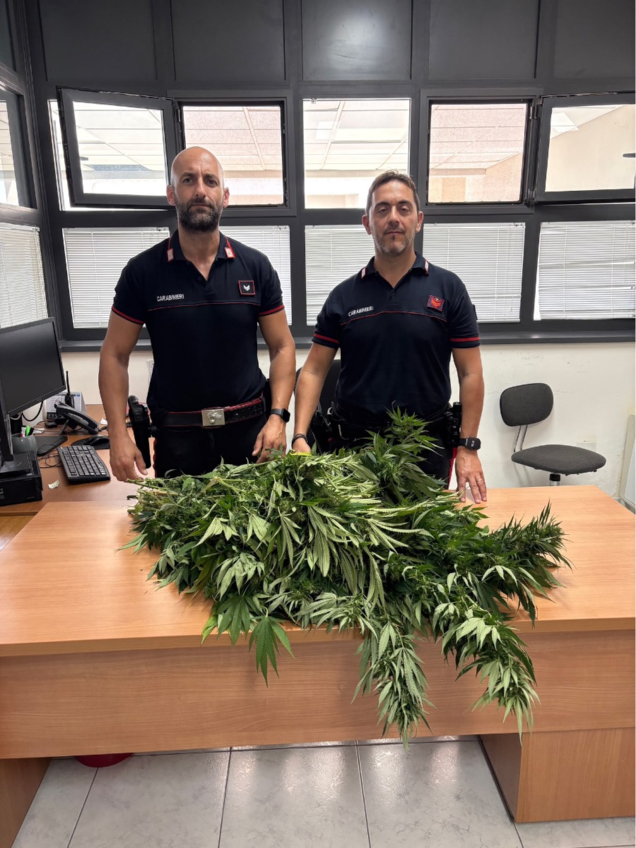 sequestro droga - Carabinieri Catanzaro  US 13.10.2026