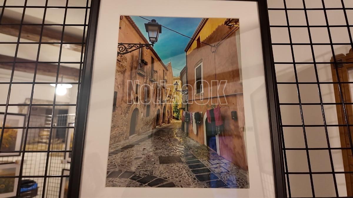 Sergio Fasson Mostra Alla ricerca delle bellezza - foto redazione 12.10.2026