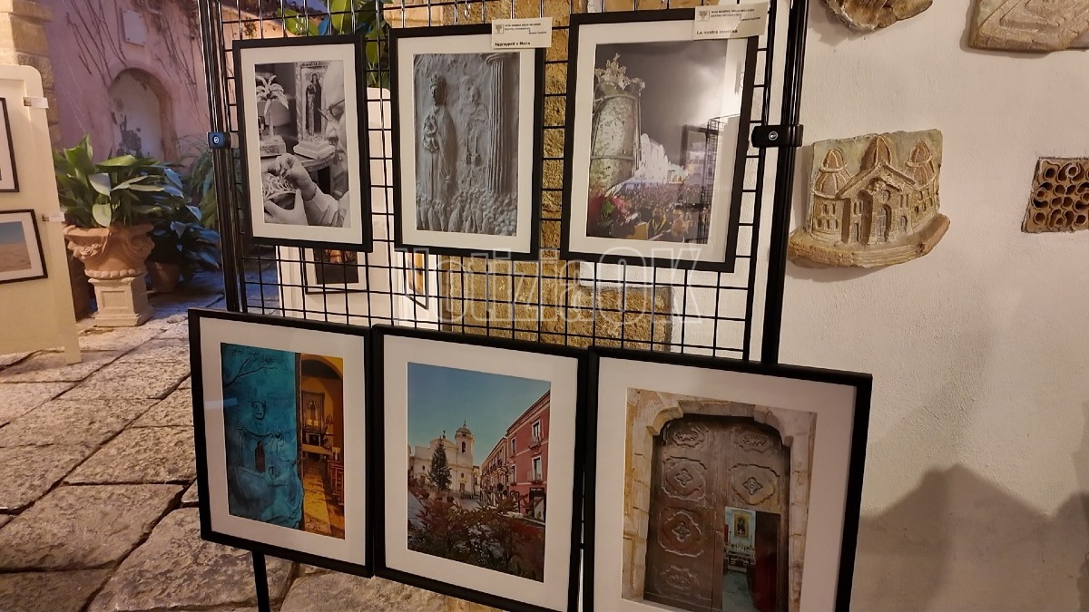 Sergio Fasson Mostra Alla ricerca delle bellezza - foto redazione 12.10.2026