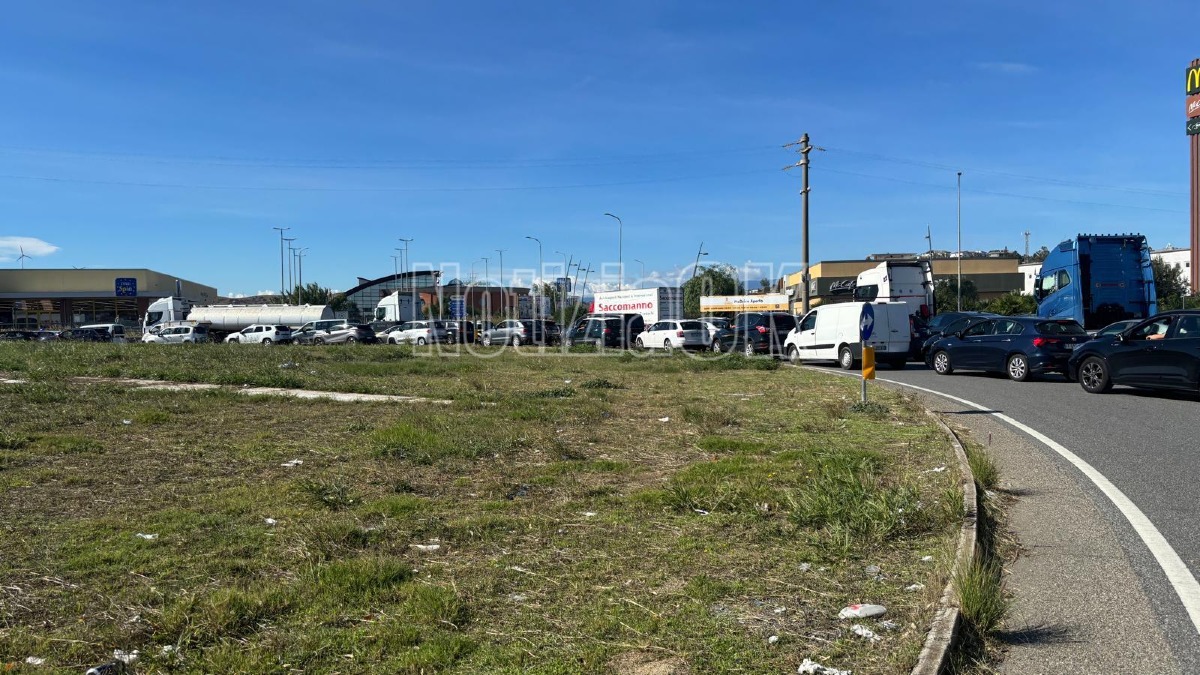 Protesta agricoltori Crotone - Redazione 16.10.2026