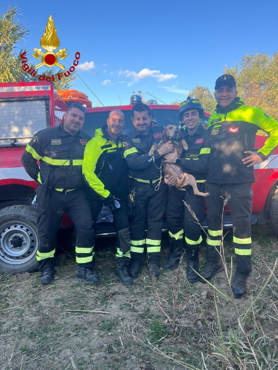 Cane salvato Cirò - Foto Uff Stampa Vigili del fuoco 27.10.2026