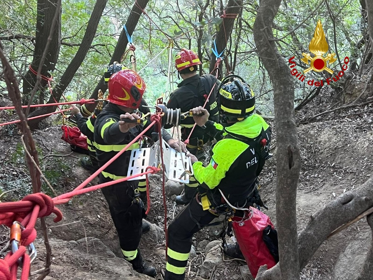 Cane salvato Cirò - Foto Uff Stampa Vigili del fuoco 27.10.2026