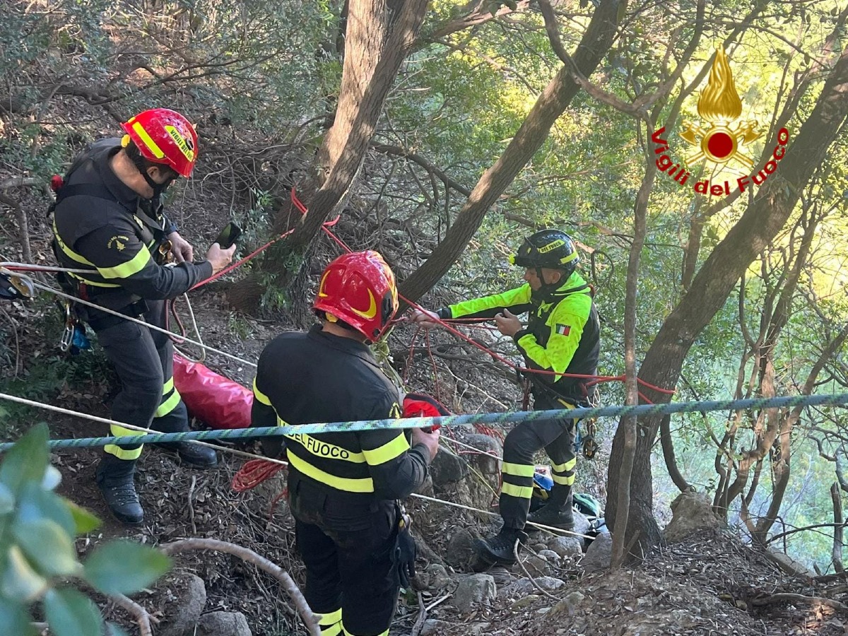 Cane salvato Cirò - Foto Uff Stampa Vigili del fuoco 27.10.2026
