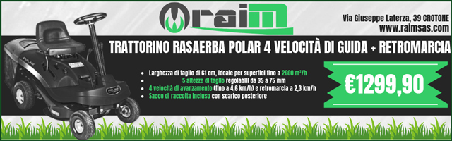 Raim