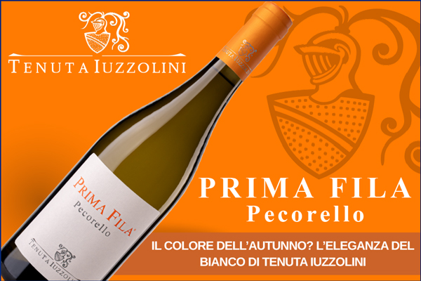 Tenuta Iuzzolini