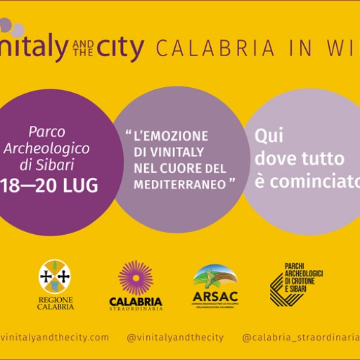 Vinitaly and the city